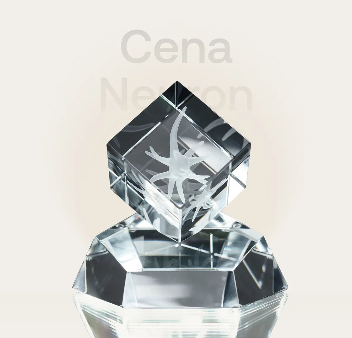 Skleněná trofej Ceny Neuron