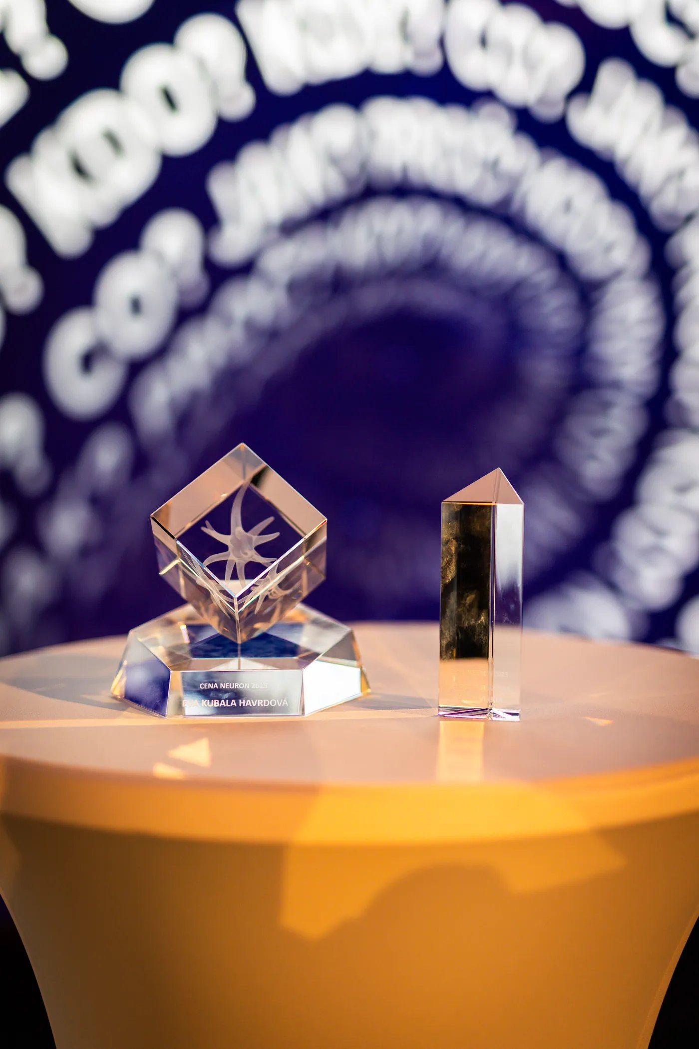 Neuron Award trophies ready to be presented
