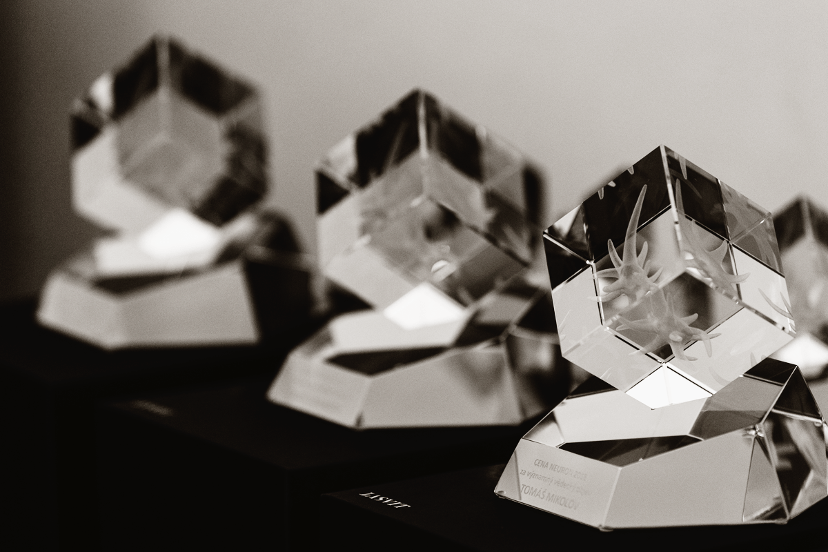 The 2019 Neuron Award for young promising scientists