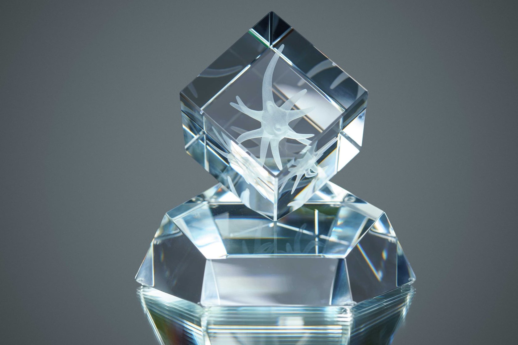 Neuron Awards 2024: Celebrate the Beauty of Science with Us
