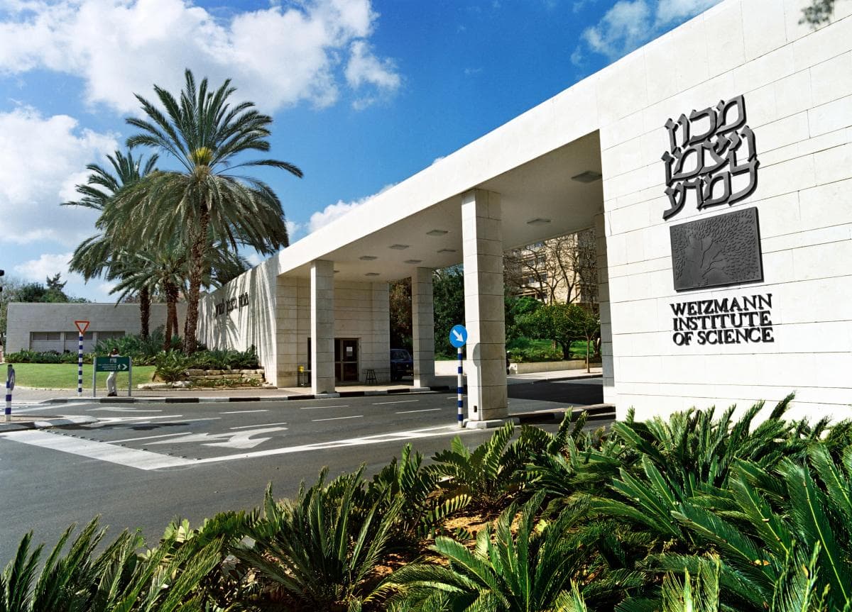 Apply by 16 March for an internship in Israel thanks to the programme of the Neuron Foundation and the IOCB Tech Endowment Fund