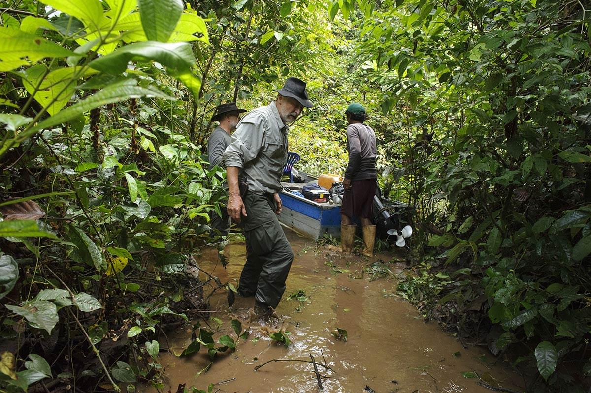 Jan Dungel has rediscovered for the world Humboldt's lost uakari monkey in the depths of the jungle