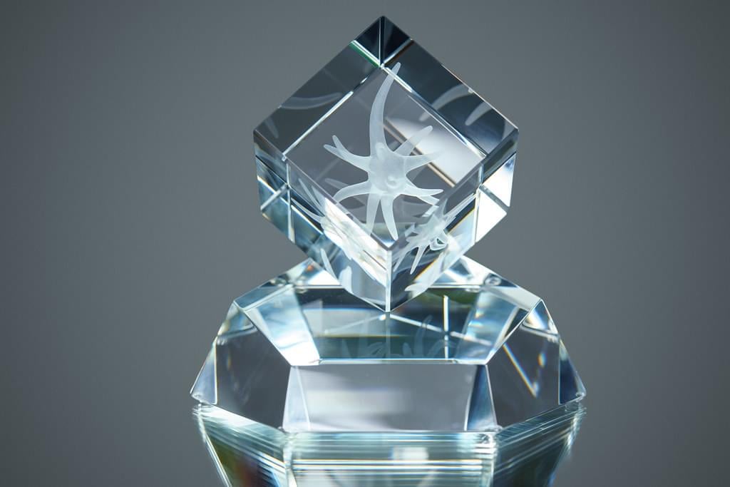 2022 Neuron Prizes laureates