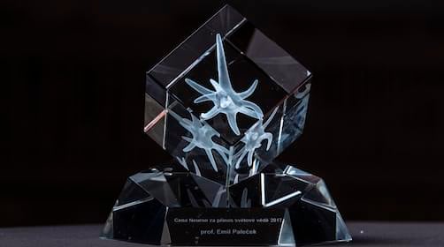 Nominations for the 2018 Neuron Awards
