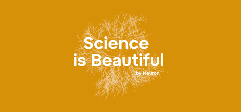 Neuron Awards 2024: Meet this year's laureates