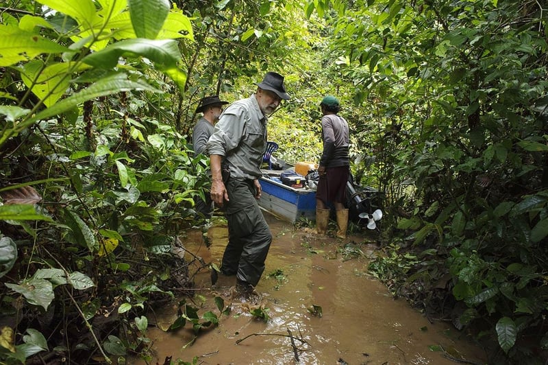 Jan Dungel has rediscovered for the world Humboldt's lost uakari monkey in the depths of the jungle