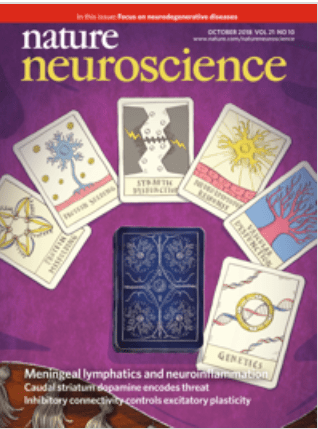 Neuron Impuls holder Jiruška publishes in the prestigious journal Nature Neuroscience