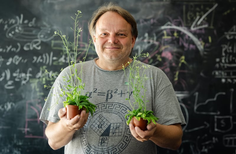 Congratulations to Jiří Friml on the prestigious Austrian FWF Wittgenstein Award