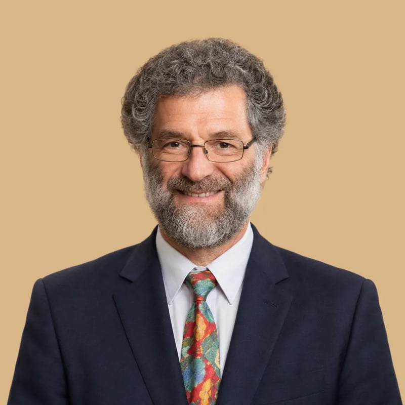 prof. Martin Roček
