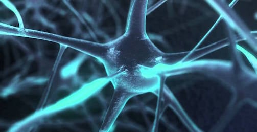Changes at the Neuron Endowment Fund