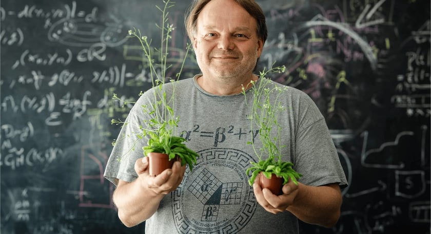 The biologist Jiří Friml